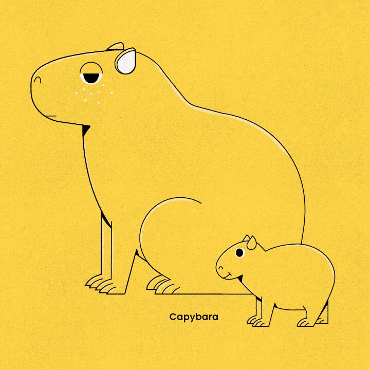 Capybara-01