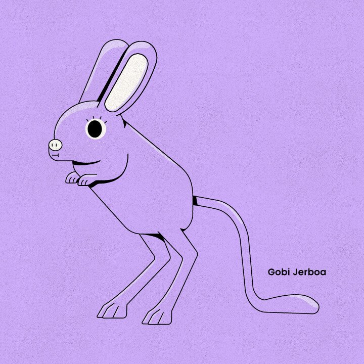 Gobi Jerboa-01