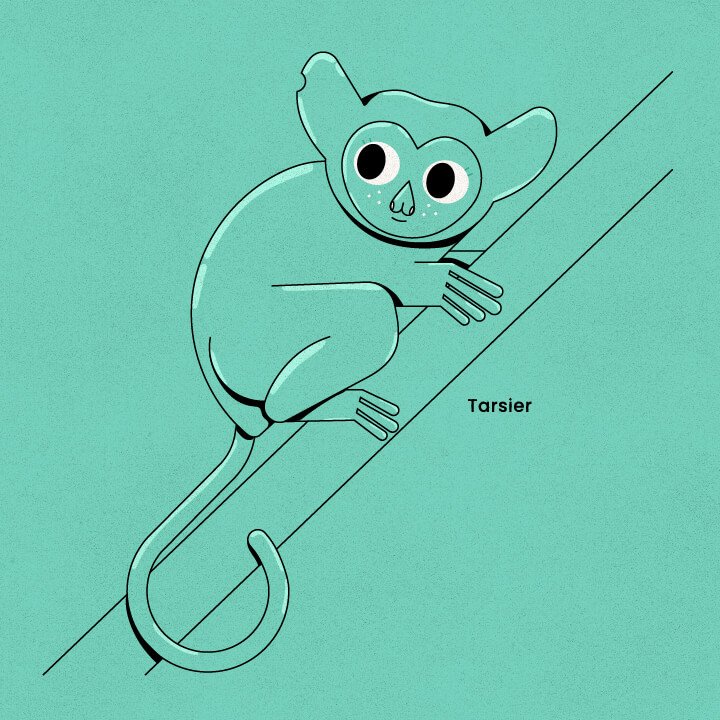 Tarsier-01